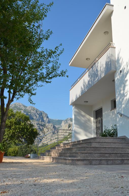 Apartment Anica Kuk ستاريغغاد باكلينتسا الغرفة الصورة